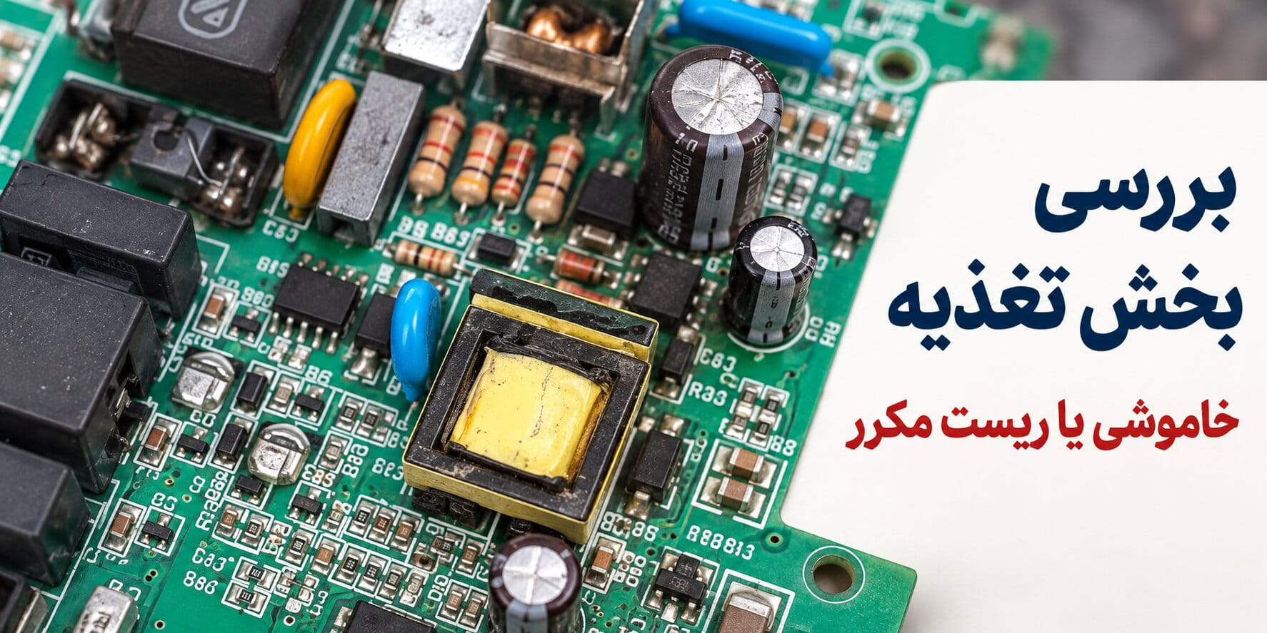 بررسی بخش تغذیه