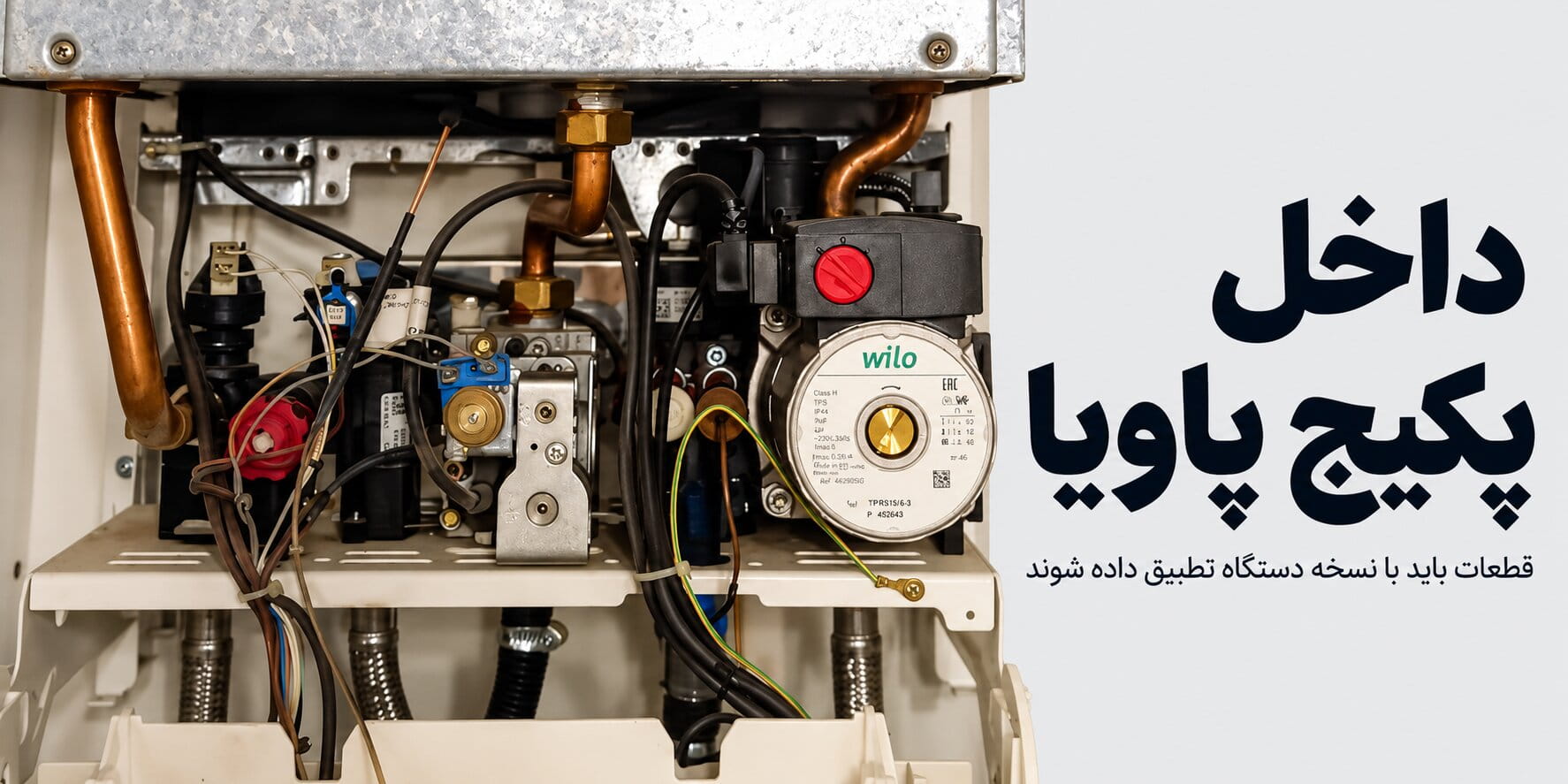داخل پکیج پاویا